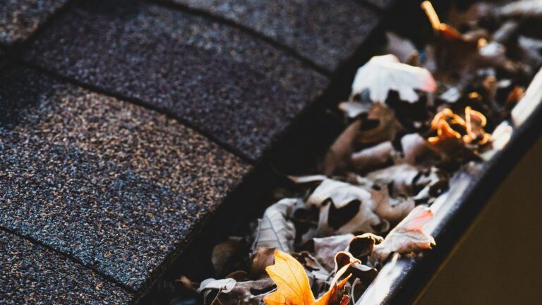 photo of a gutter that has way too many leaves