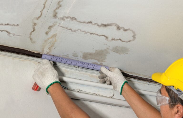 Measuring the spread of mold before any mold removal DIY attempt