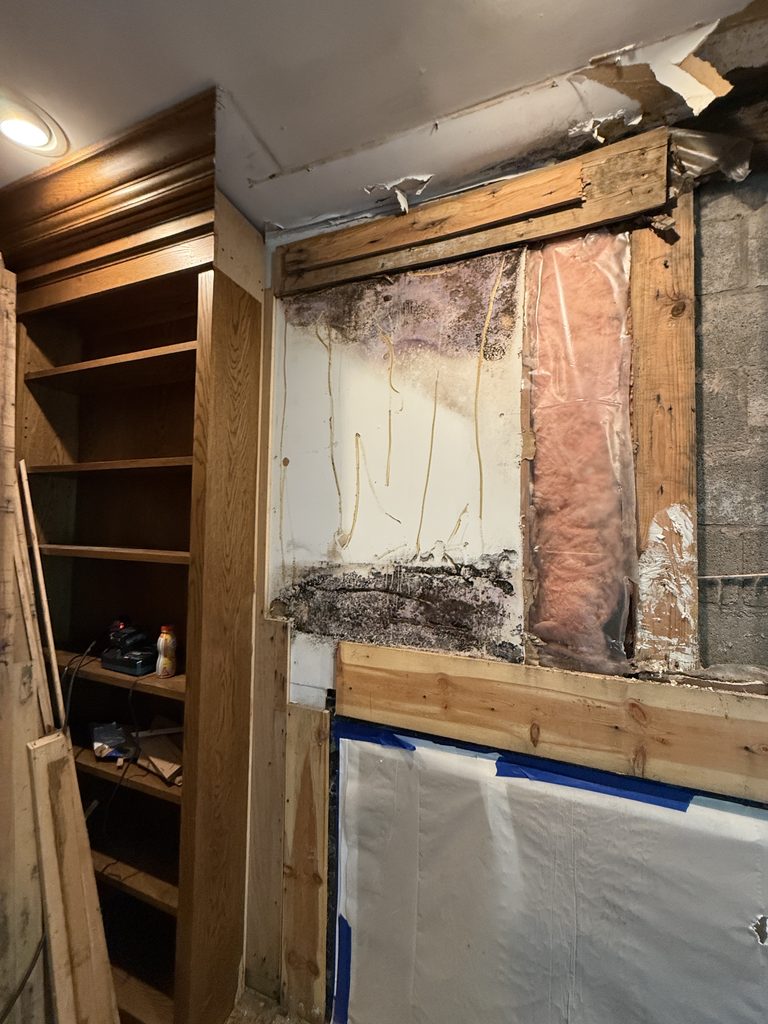 Concealed mold behind mantel and wall paneling